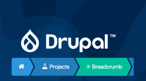 Метадані в строку навігації Drupal 8